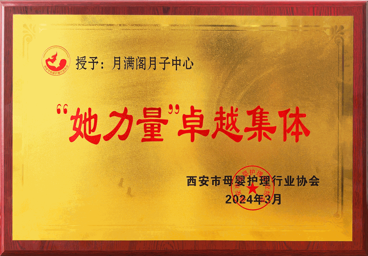 西安市母婴护理行业协会她力量卓越集体